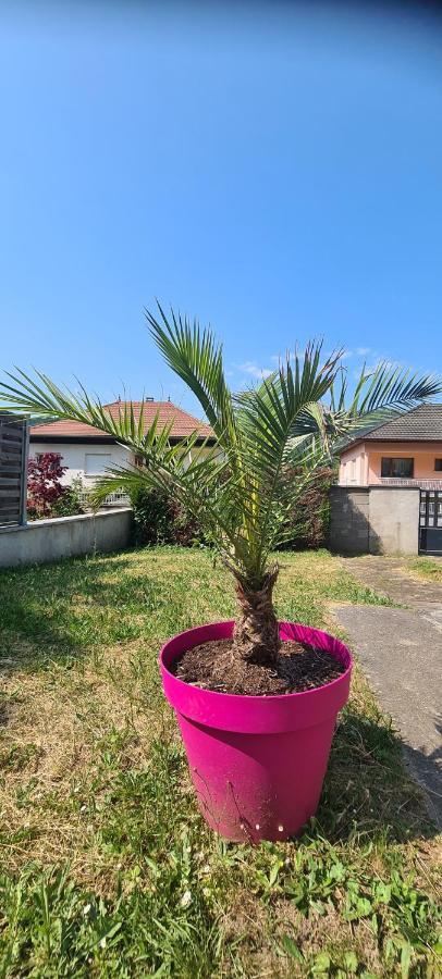 Maison Piscine Villa Saint-Amarin ภายนอก รูปภาพ