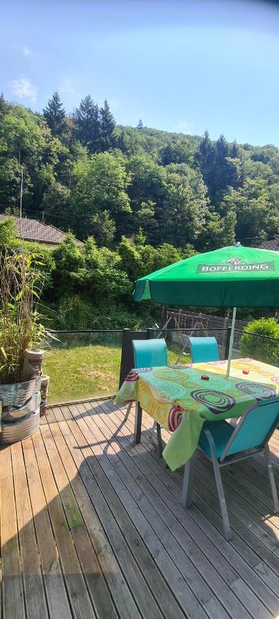 Maison Piscine Villa Saint-Amarin ภายนอก รูปภาพ