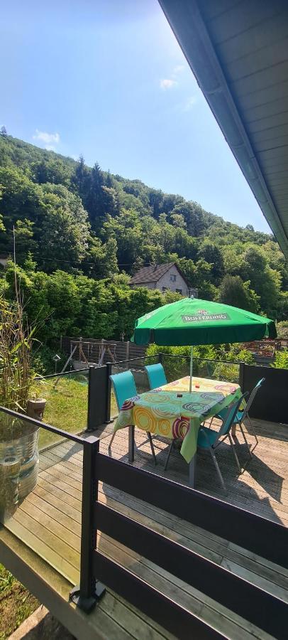 Maison Piscine Villa Saint-Amarin ภายนอก รูปภาพ