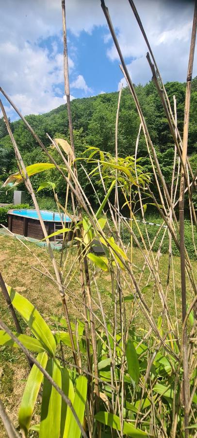 Maison Piscine Villa Saint-Amarin ภายนอก รูปภาพ