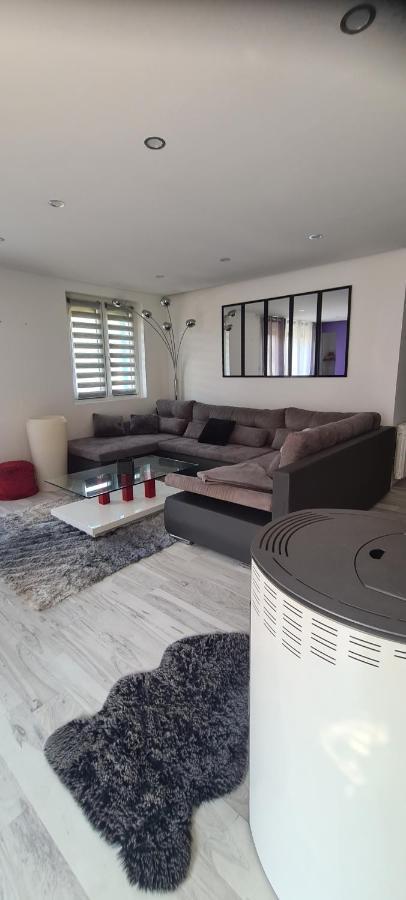 Maison Piscine Villa Saint-Amarin ภายนอก รูปภาพ