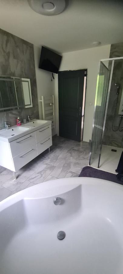 Maison Piscine Villa Saint-Amarin ภายนอก รูปภาพ