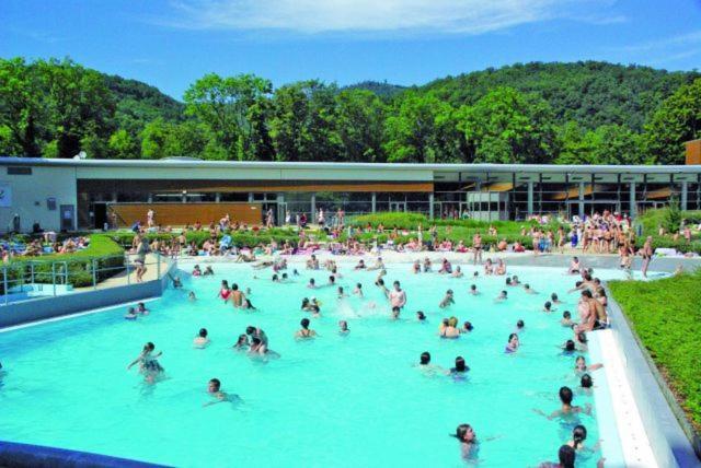 Maison Piscine Villa Saint-Amarin ภายนอก รูปภาพ